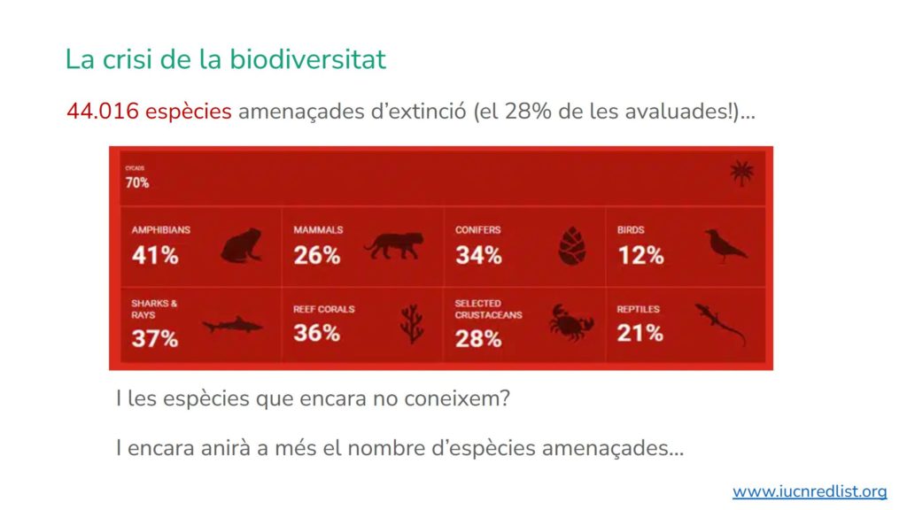 Diapositiva de la presentació dels tallers sobre la pèrdua de biodiversitat.